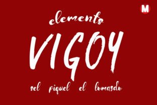 A Beautiful Typeface Like Vigoy Makes Your Brand Unforgettable