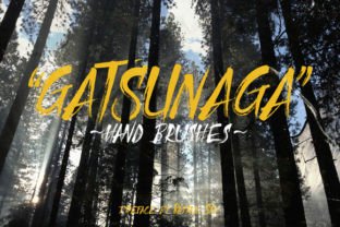 Gatsunaga Hand Brushes: A Textured Display Font for Crafters